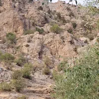 زمین-تجاری-روبروی-پمپ-نفت-شرف-آباد