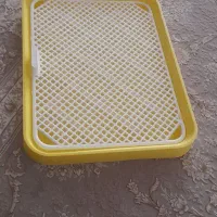ظرف دسشویی سگ
