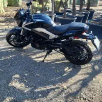 دومینار (ns250)