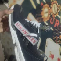 zx8000لندن|کیف، کفش، کمربند|کرج, خرمدشت|دیوار