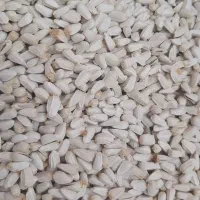 گندم|خوردنی و آشامیدنی|مبارکه, |دیوار