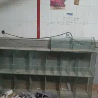 ویترین مغازه و سوپری شیشه ای آجیل و شکلات