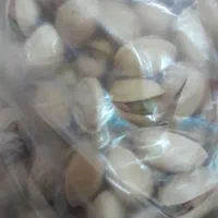 پسته رفسنجان درجه یک صادراتی ۵ کیلو فقط مونده