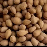 بادام