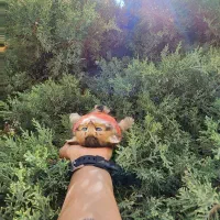 خالص و بی حاشیه