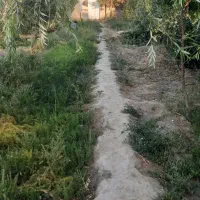 باغ-ویلایی