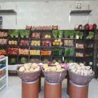 میوه و تره بار نورا