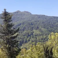 فروش-زمین-سوادکوه-روستای-فلورد
