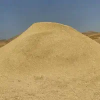 کاه دیم(سرخس)