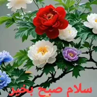 ۰۹۱۲۳۰۸۵۱۹۳