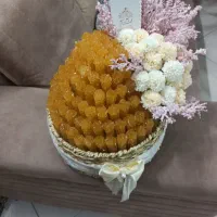 شاخه نبات