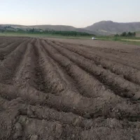 زمین-کشاورزی-خالی-3500-متر-مرگور-هفت-آباد