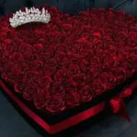 گل ربانی مریم