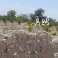 زمین کشاورزی