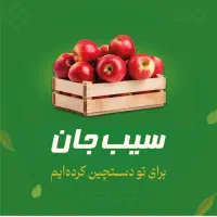 استخدام ویزیتور حضوری
