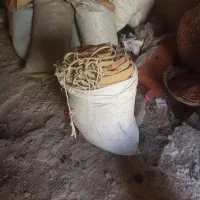 چادر برزنتی ۱۲ نفره