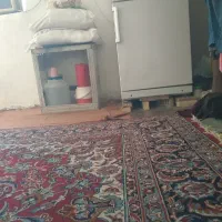 دنبال کار هستم نگهبانی باغبانی سرایداری