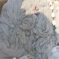 جل کاشخی