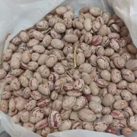 لوبیا چیتی