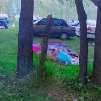 پراید ۸۴ دوگانه دستی ۲۸۰میلیون