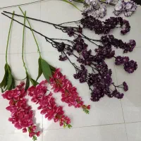 گل خارجی