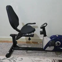 دوچرخه ثابت پشتی دار برند پاندا