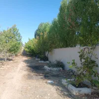 زمین-1000-متر-به-آباد-حاشیه-جاده-سنتو