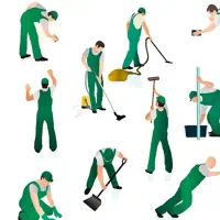 جویای کار سریداری