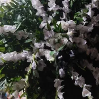پایه گل نو