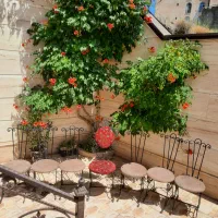یک ست ۶ تایی صندلی فرفورژه فلزی
