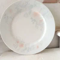 بشقاب چینی مفت