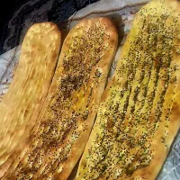 شاطر بربری هستم دنبال کارم