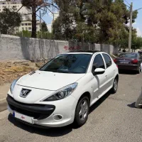 ۲۰۷  دنده پانورما