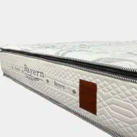 تشک بایرن آلمان تلفیق هنر و تکنولوژی/