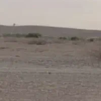 فروش زمین 500 متری باغ شهری