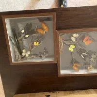 تابلو پروانه طبیعی