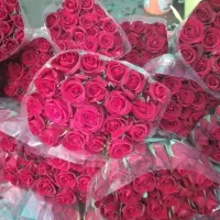 انواع گل شاخه‌ای از بازار گل امام رضا