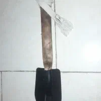 بیل آفروید