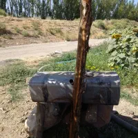 باک المنیومی