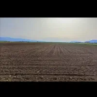 فروش زمین کشاورزی قیمت مفت...