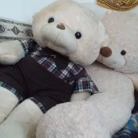 دو عدد عروسک بزرگ