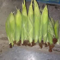 بلال کبابی