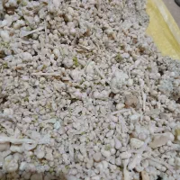 کندل وشا اشترک وشق اوشق