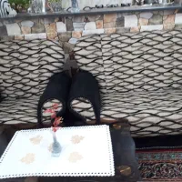 مبل راحتی