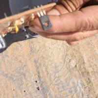 خدمات فنی