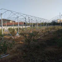 نصب و اجرای صفر تا صد گلخانه طرح اسپانیا ساده