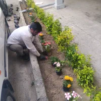 باغبانی وهرسکاری کوددهی بیل زنی مهر فاکتور ضمانت