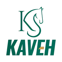کارشناس حسابداری