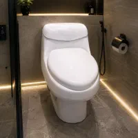 توالت فرنگی