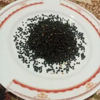 بذر پیاز